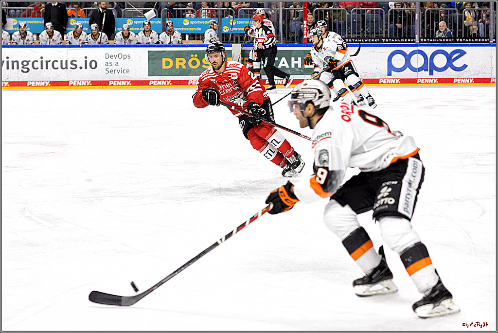 PENNY DEL;  Kölner Haie - Löwen Frankfurt; Köln, 01.12.2022